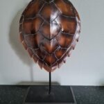 Dutch Style turtle shell