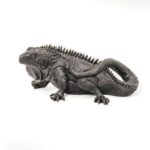 Housevitamin leguaan beeld zwart