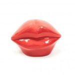 Housevitamin rode lippen spaarpot