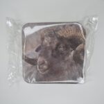 Mars & More vintage onderzetters